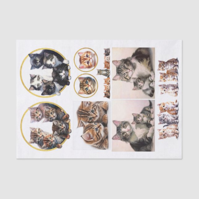 Pretty Kittens in the Style of Helena Maguire Tissue Paper (Front)