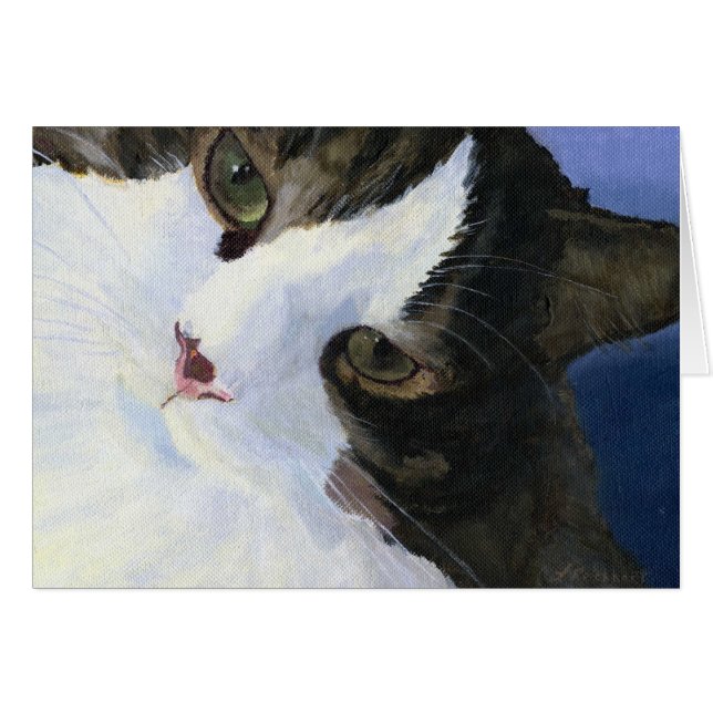 Pretty Kitty (Front Horizontal)