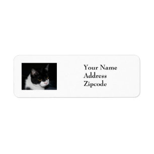 Pretty Kitty Address Label