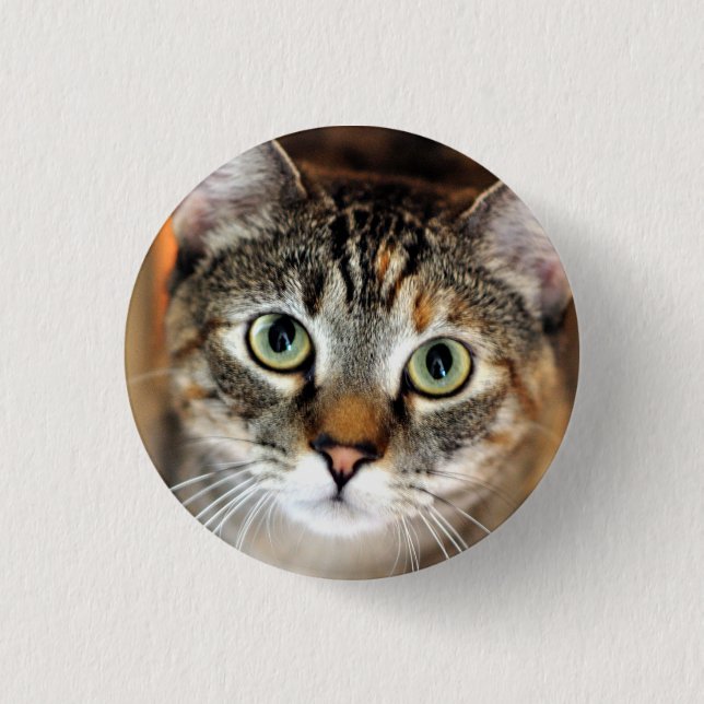 Pretty Kitty Cat Button (Front)