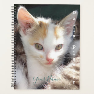 Pretty Kitty - Daily Planner- HAMbWG Planner