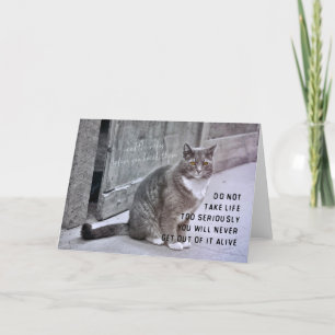 PRETTY KITTY Greeting Card