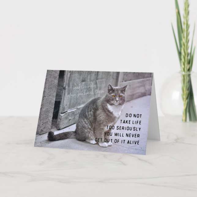 PRETTY KITTY Greeting Card (Front)