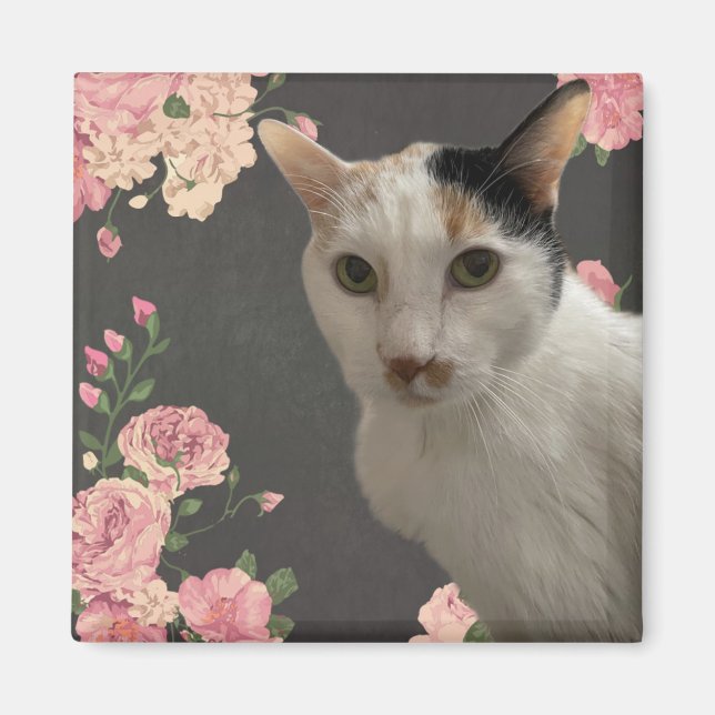 Pretty Kitty Magnet (Front)