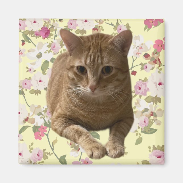 Pretty Kitty Magnet (Front)