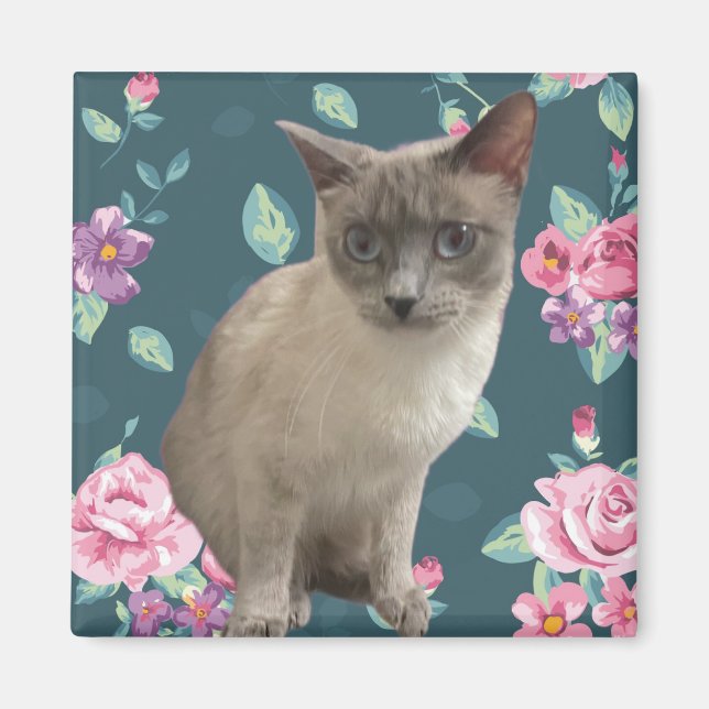 Pretty Kitty Magnet (Front)
