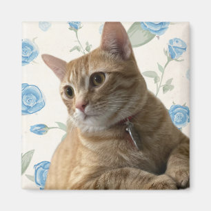 Pretty Kitty Magnet