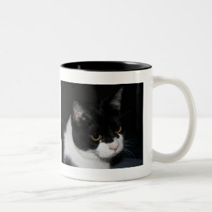 Pretty Kitty Two-Tone Mug