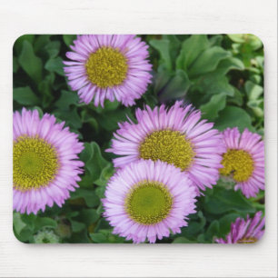Pretty Lavender Erigeron Flowers Mouse Mat