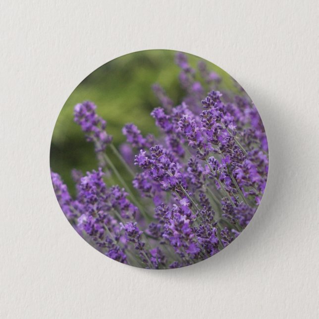 Pretty Lavender Fields Button (Front)
