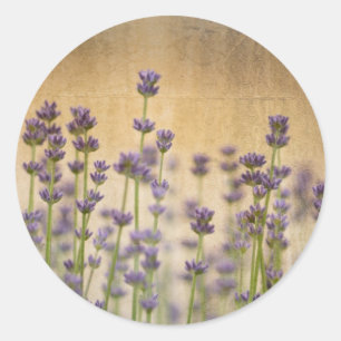 Pretty Lavender Flowers Classic Round Sticker