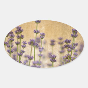 Pretty Lavender Flowers Oval Sticker