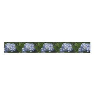 Pretty Light Blue Hydrangea Flowers Grosgrain Ribbon
