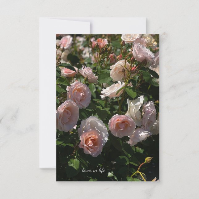Pretty Light Pink Roses Card (Front)