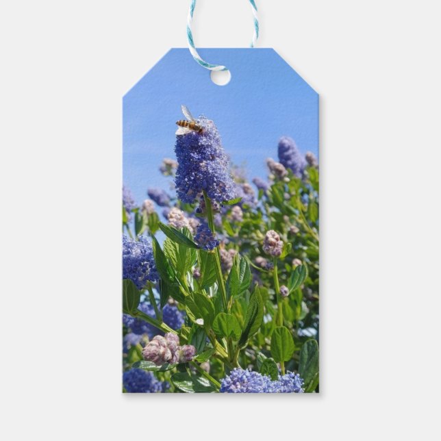 Pretty lilac gift tags (Front)