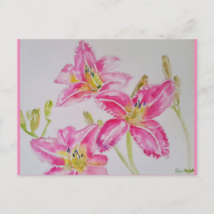 Pretty Lily In Pink Watercolor Painting Postcard