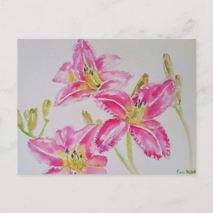 Pretty Lily In Pink Watercolor Painting Postcard