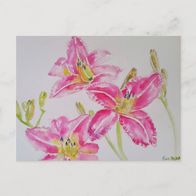 Pretty Lily In Pink Watercolor Painting Postcard (Front)