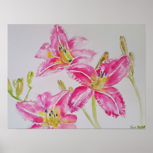 Pretty Lily In Pink Watercolor Painting Postcard Poster (Front)