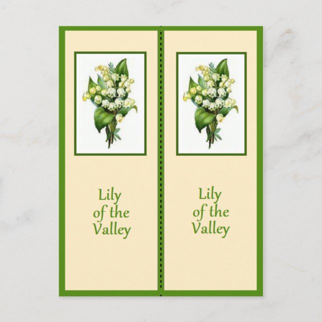 Pretty Lily of the Valley Bookmark Postcard (Front)