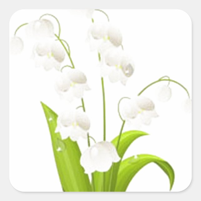 Pretty Lily of the Valley Square Sticker (Front)
