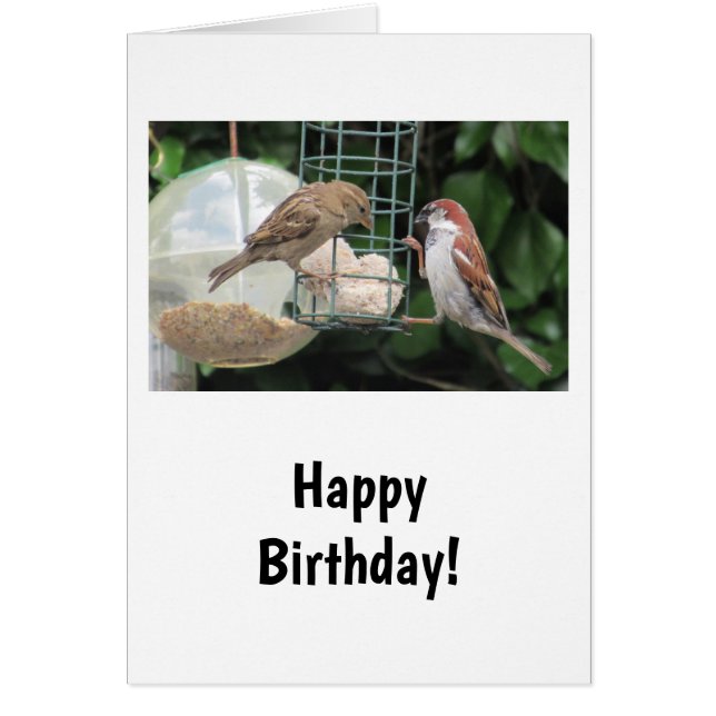 Pretty Little Birds Birthday Card (Front)