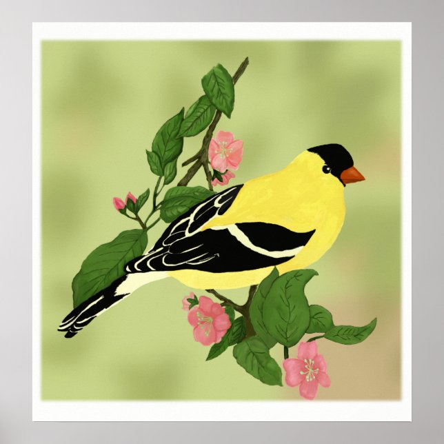 Pretty Little Goldfinch Bird Poster (Front)