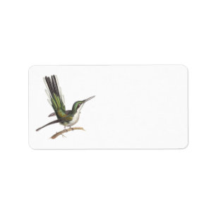 Pretty Little Green Hummingbird by Rene Lesson Label