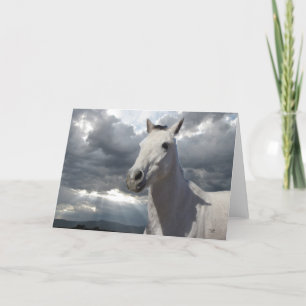 Pretty Little Grey Grey Pony with Big Eyes - Blank Card