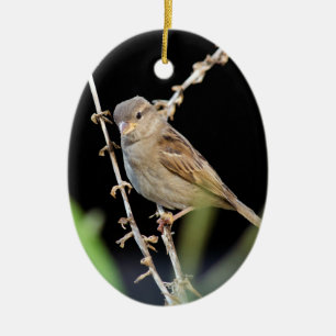 Pretty Little Sparrow Ceramic Tree Decoration