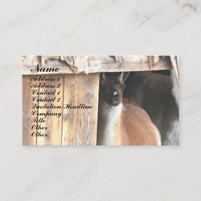 Pretty Llama Farm Animal Business Card (Front)
