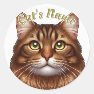 Pretty Longhaired Brown Tabby Cat • Personalised Classic Round Sticker