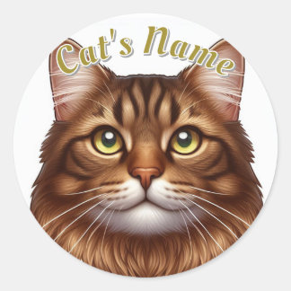 Pretty Longhaired Brown Tabby Cat • Personalised Classic Round Sticker