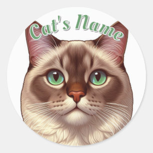 Pretty Longhaired Siamese Cat • Add a Name Classic Round Sticker