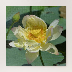 Pretty Lotus Blossom Jigsaw Puzzle