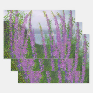 Pretty Lupine Flowers By The Lake Wrapping Paper Sheet