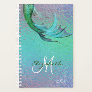 Pretty Mermaid Tail Iridescent Organiser Daily