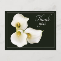 Pretty Modern White Calla Lily Botanical Thank You
