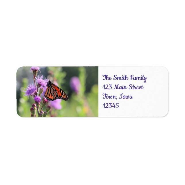 Pretty Monarch (Front)