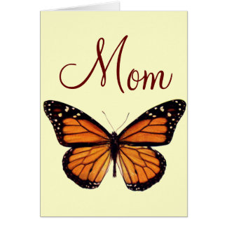 Pretty Monarch Butterfly