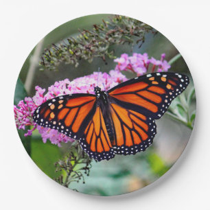 Pretty Monarch Butterfly Photo Paper Plate
