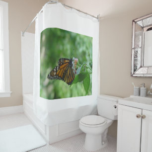 Pretty Monarch Butterfly Pink White Flower Shower Curtain
