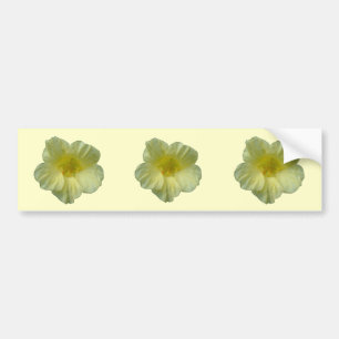 Pretty Natsurtium Flower Bumper Sticker