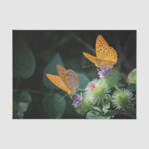 Pretty Orange Butterfly Floral Photo Tissue Paper
