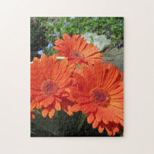 Pretty Orange Daisy Flower Photo Puzzle