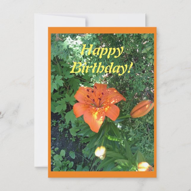 Pretty orange lily Birthday Card (Front)