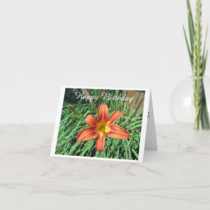 Pretty Orange Lily Photo Birthday Card