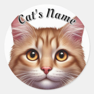 Pretty Orange Longhaired Cat • Personalised Classic Round Sticker