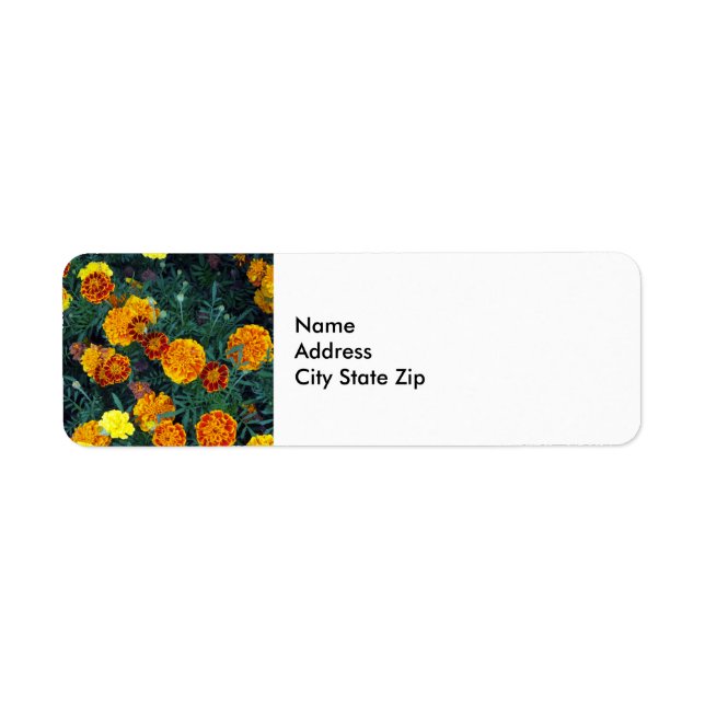 Pretty Orange Marigolds Floral Photo (Front)