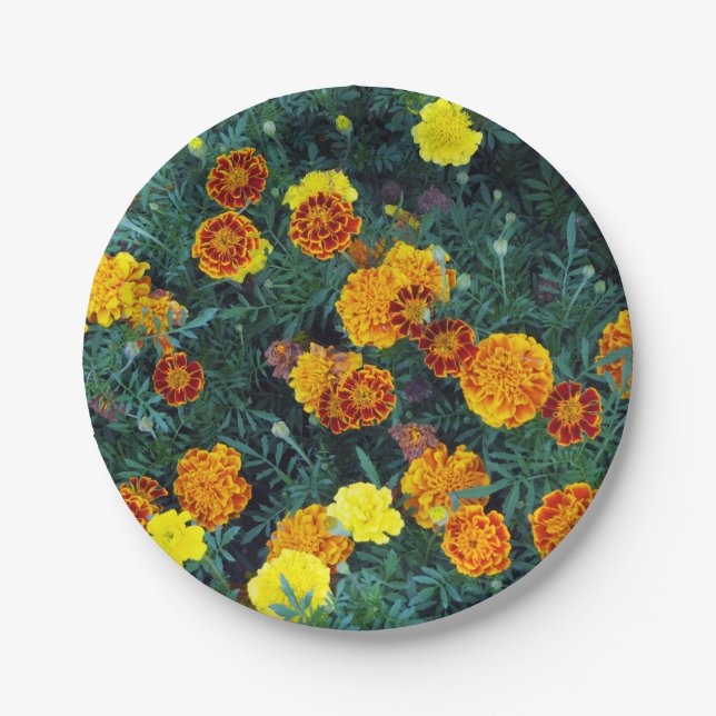 Pretty Orange Marigolds Floral Photo Paper Plate (Front)